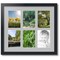 ArtToFrames Collage Photo Picture Frame with 6 - 5x7 inch Openings, Framed in Black with Over 62 Mat Color Options and Plexi Glass (CSM-3926-2041)